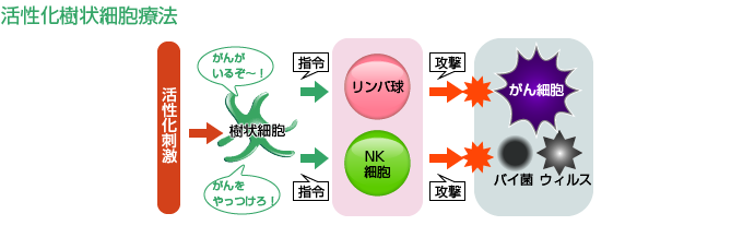 活性化樹状細胞療法