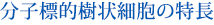 分子標的樹状細胞治療の特長